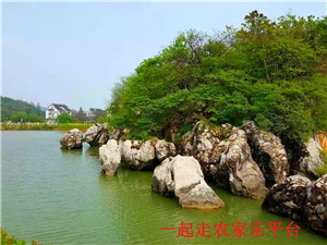 三山岛湖山农家乐