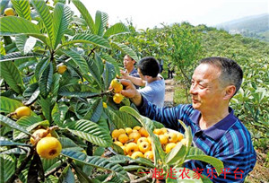 三山岛湖山农家乐